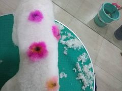 -佳雯宠物医院(四明中路分院)