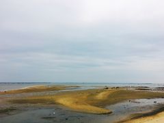 -北海金海湾红树林生态旅游区