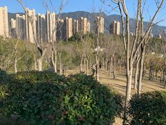 -牛岗山公园