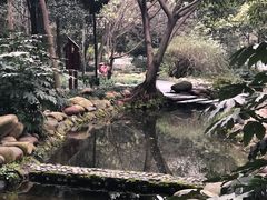-成都市活水公园