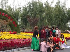 -大兴滨河森林公园