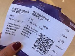 -中影国际影城(大唐西市4K临境音店)