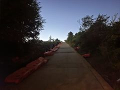 -长虫山生态公园风景林