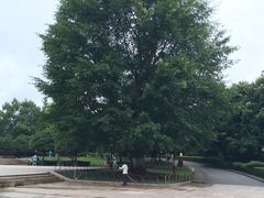 -邓小平故里