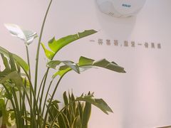 -喜茶(佛山岭南站店)
