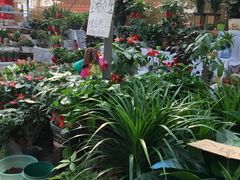 -秦美花卉(天朗·莱茵小城2期店)