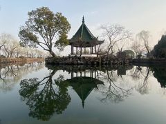 -贡湖湾湿地公园