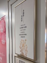 -镁连社·美联社