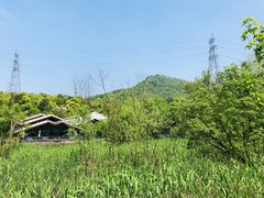 -西湖风景区-江洋畈生态公园