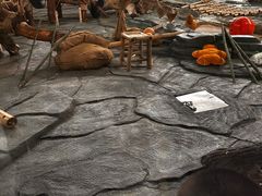 -泉州海丝野生动物世界