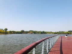 -东郊湿地公园