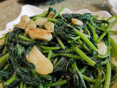 -寻味顺德·珍之宝酒楼(银钻店)