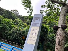 -大梅沙海滨公园