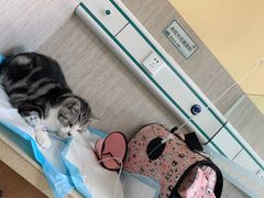 -爱派特动物医院·全科诊疗中心