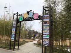 -上海长兴岛郊野公园