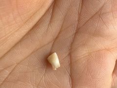 -瑞尔齿科(颐堤港诊所)