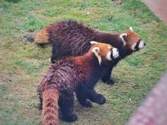 -泉州海丝野生动物世界