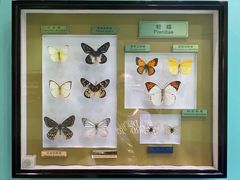 -上海昆虫博物馆
