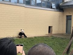 -石家庄市动物园