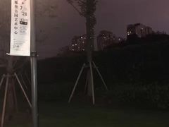 -上海博物馆-停车场