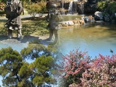 -东莞植物园