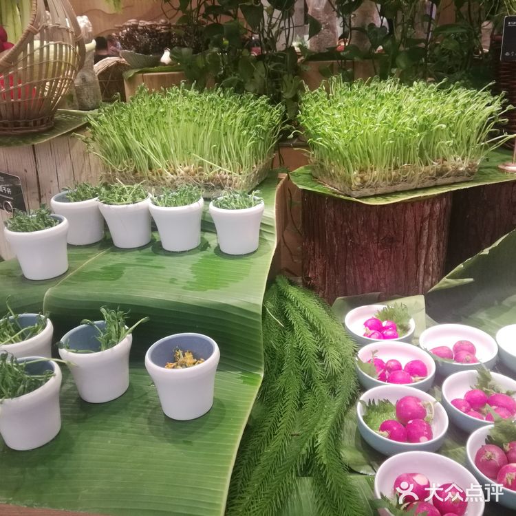 海鲜自助 食物的盛宴