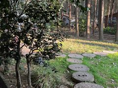 -林间山庄