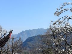 -九华山风景区月身宝殿