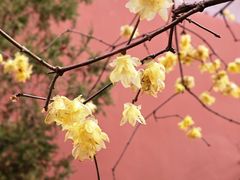-钱王祠