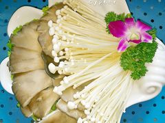 金针菇平菇双拼-08涮肉坊(广顺南大街店)