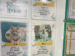 -瑞派先诺宠物医院•猫专科•普外科•中兽医(佛山院)