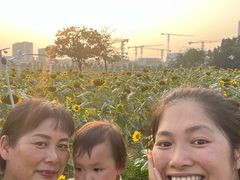 -光明小镇欢乐田园