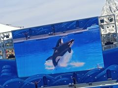 -上海海昌海洋公园