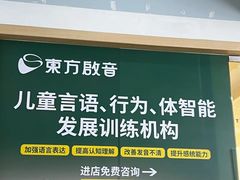 -东方启音·儿童康复中心·自闭症干预·语言迟缓·发育迟缓(深圳宝安中心)