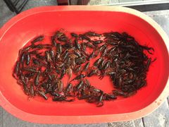 -家的味道餐厅·新鲜实惠