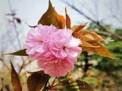 -白塘生态植物园