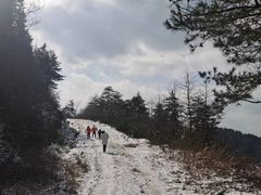 -溪口商量岗景区