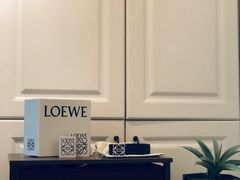 -LOEWE罗意威(北京SKP女装店(一层))