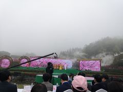 -常德桃花源景区