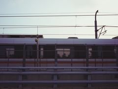 -海堤纪念公园