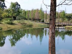 -眉山湿地公园(东坡区)