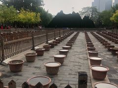 -莲花池公园