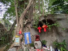 -乌山风景区
