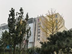 -百荣世贸商城