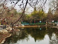 -宣武艺园