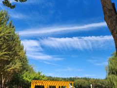 -吉林大学(前卫南校区)