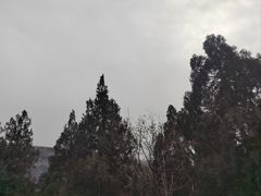-佛慧山