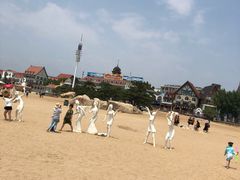 -老虎石海上公园