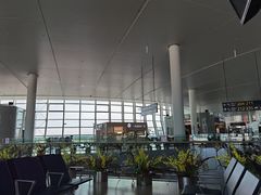 -温州龙湾国际机场