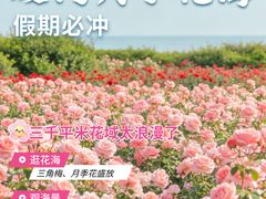 -厦门明发国际大酒店(会展中心环岛路店)